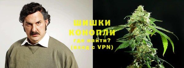 гашик Балахна