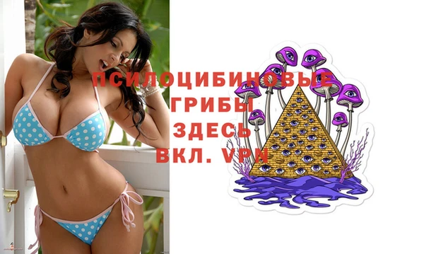 гашик Балахна