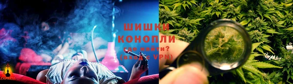 гашик Балахна