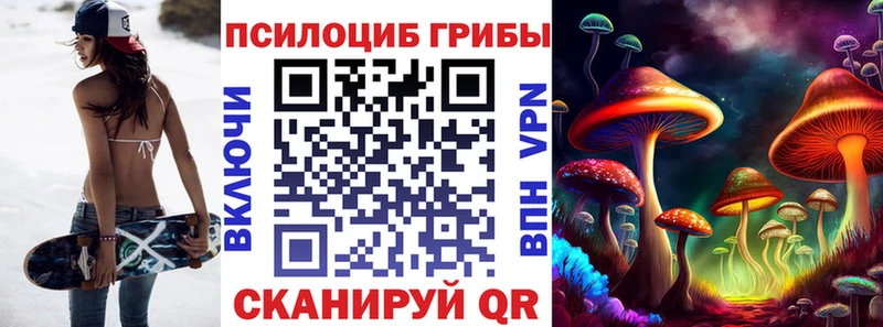 Псилоцибиновые грибы GOLDEN TEACHER  магазин  наркотиков  Шацк 